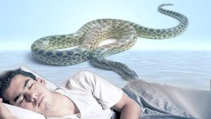 Interpretation of a dream about a snake and escaping from it for a married man